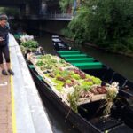 photos le marché sur l'eau en 2023